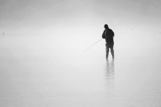 Fot. Belinda Fewings/unsplash.com