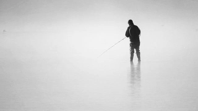 Fot. Belinda Fewings/unsplash.com