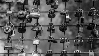 Fot.  Parsoa Khorsand / Unsplash