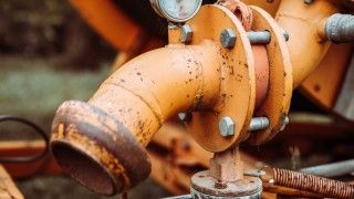 Fot. Justus Menke/Unsplash