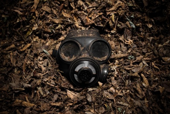 Fot. Scott Rodgerson/unsplash.com