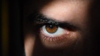 Fot. Msporch / Pixabay