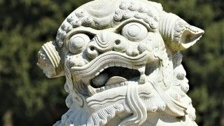 Fot. DavidReed / Pixabay