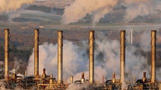 Fot. Emphyrio / Pixabay