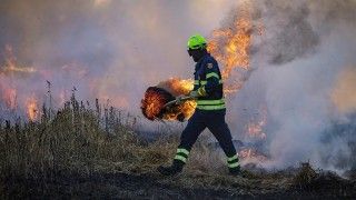 Fot. fish96 / Pixabay