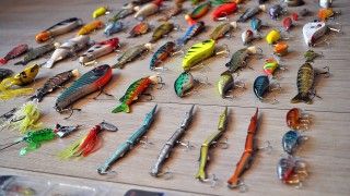 Fot. mirandableijenberg / Pixabay