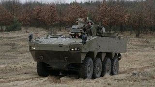 Słowacka Patria AMV XP 8 x 8