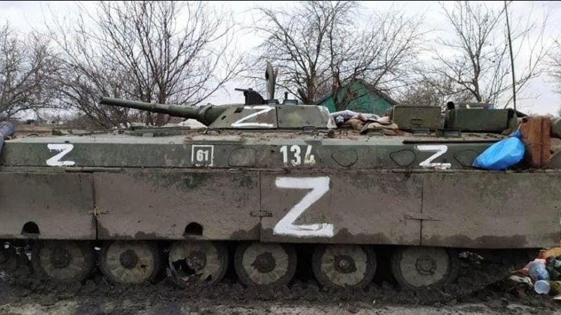 BMP-1D