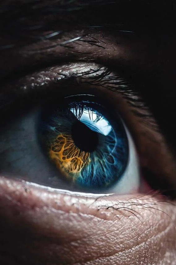oko, niebieskie