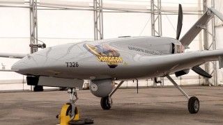 Bayraktar TB2 Vanagas