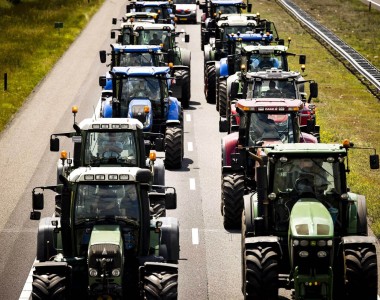 protest rolników Holandia