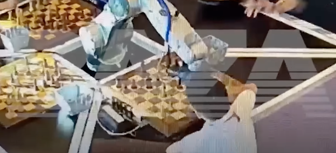 robot szachy