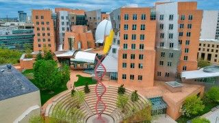 Budynki MIT charakteryzują się interesującą architekturą