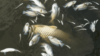 Zdjęcie ilustracyjne