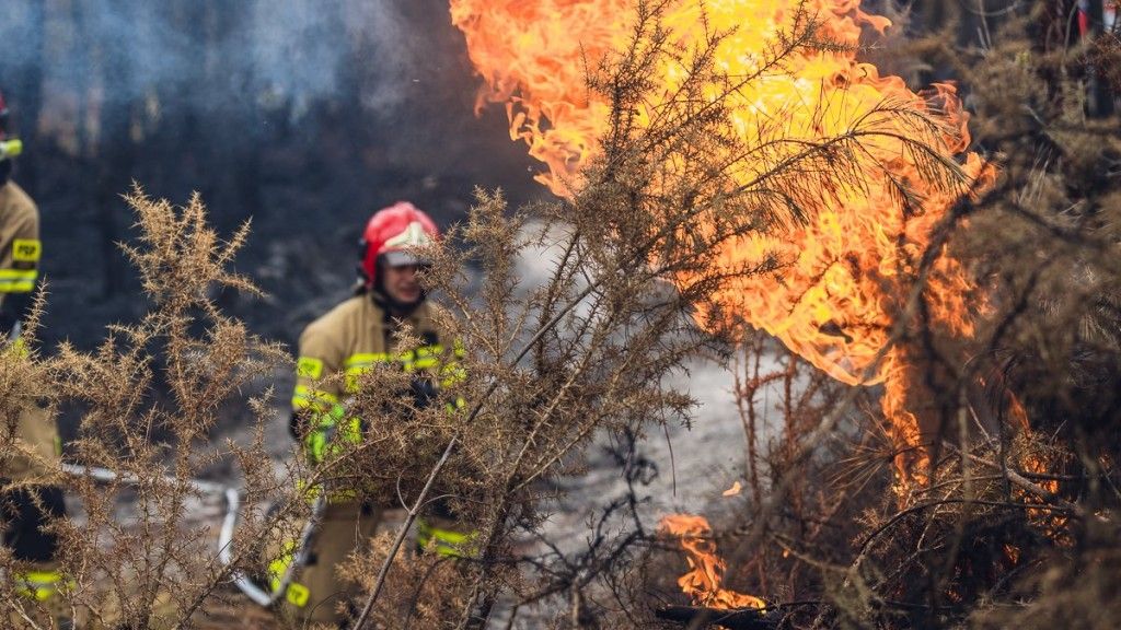 Moduły gaśnicze GFFFV Poland Państwowej Straży Pożarnej pomagają francuskim strażakom w walce z pożarami.