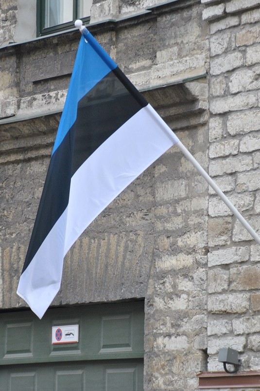 W ubiegłym tygodniu doszło do najbardziej rozległych cyberataków w Estonii od 2007 roku.