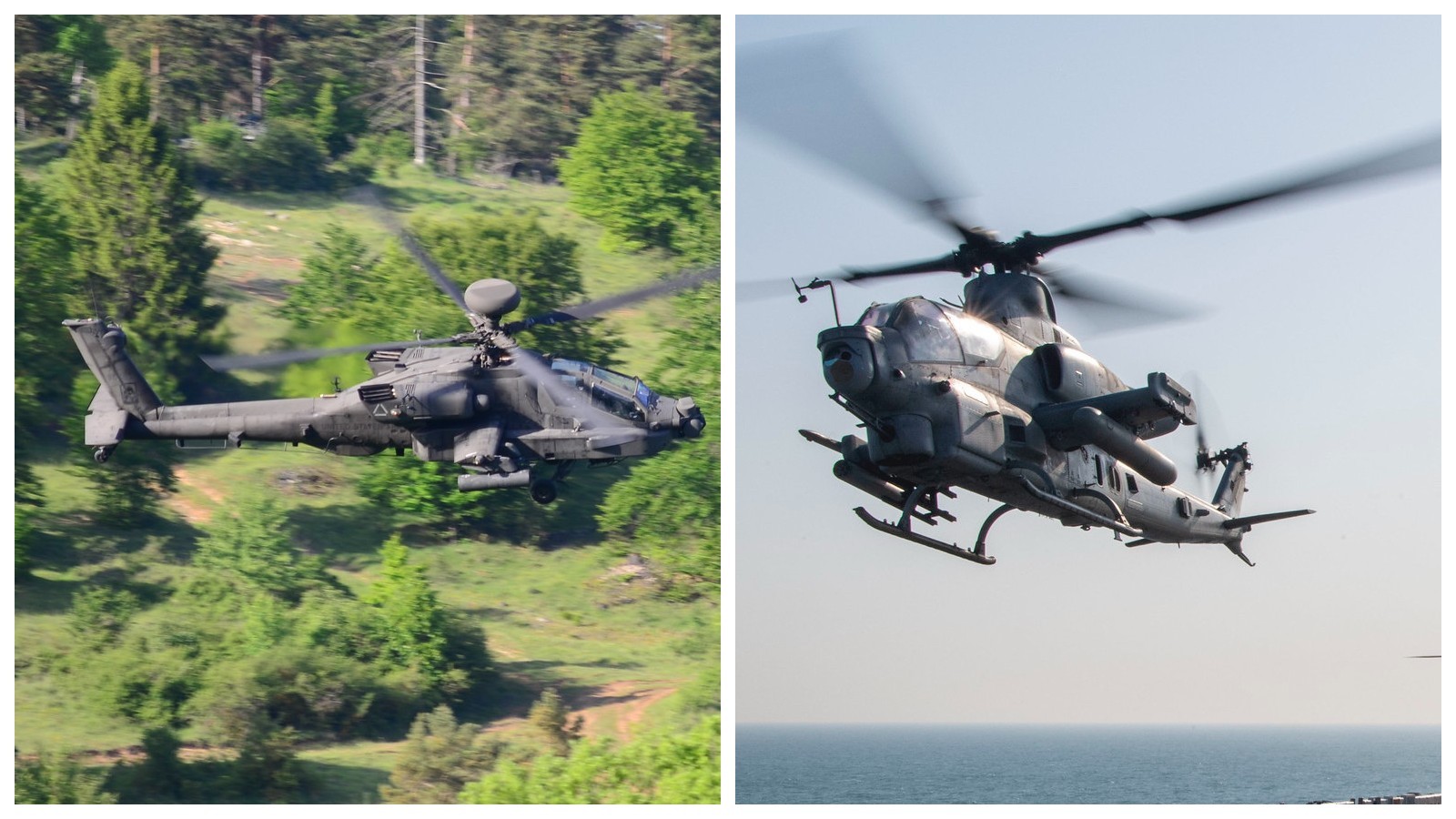 Program Kruk w dwóch odsłonach, czyli „pojedynek rewolwerowców”? [ANALIZA] Defence24