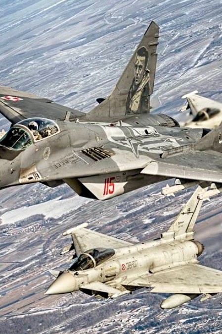 MiG-29 and Eurofighter Typhoon