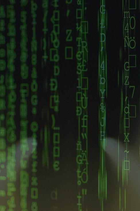 cyber
