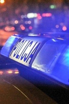 policja polska