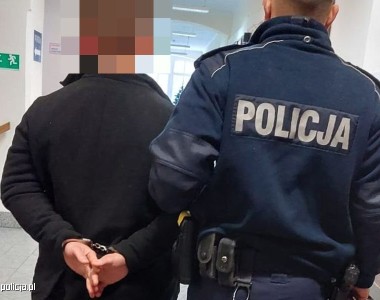policja