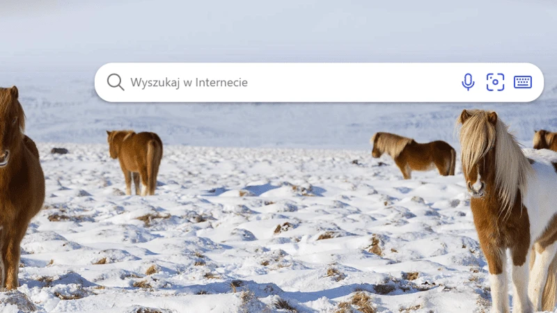 Wyszukiwarka Bing