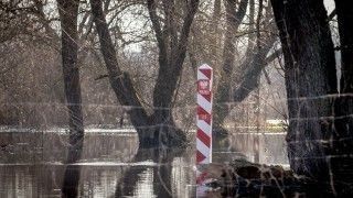 Zdjęcie ilustracyjne.