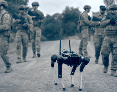 robot pies wojsko australia