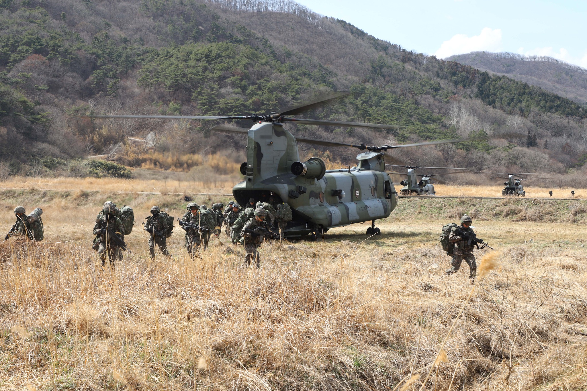 Korea kupuje Chinooki