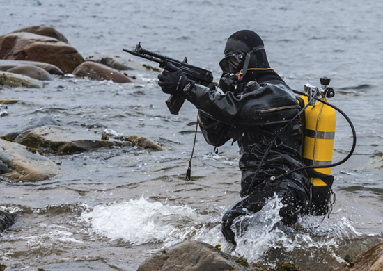 Obrona (teoretyczna) baz Marynarki Wojennej Rosji [RAPORT]