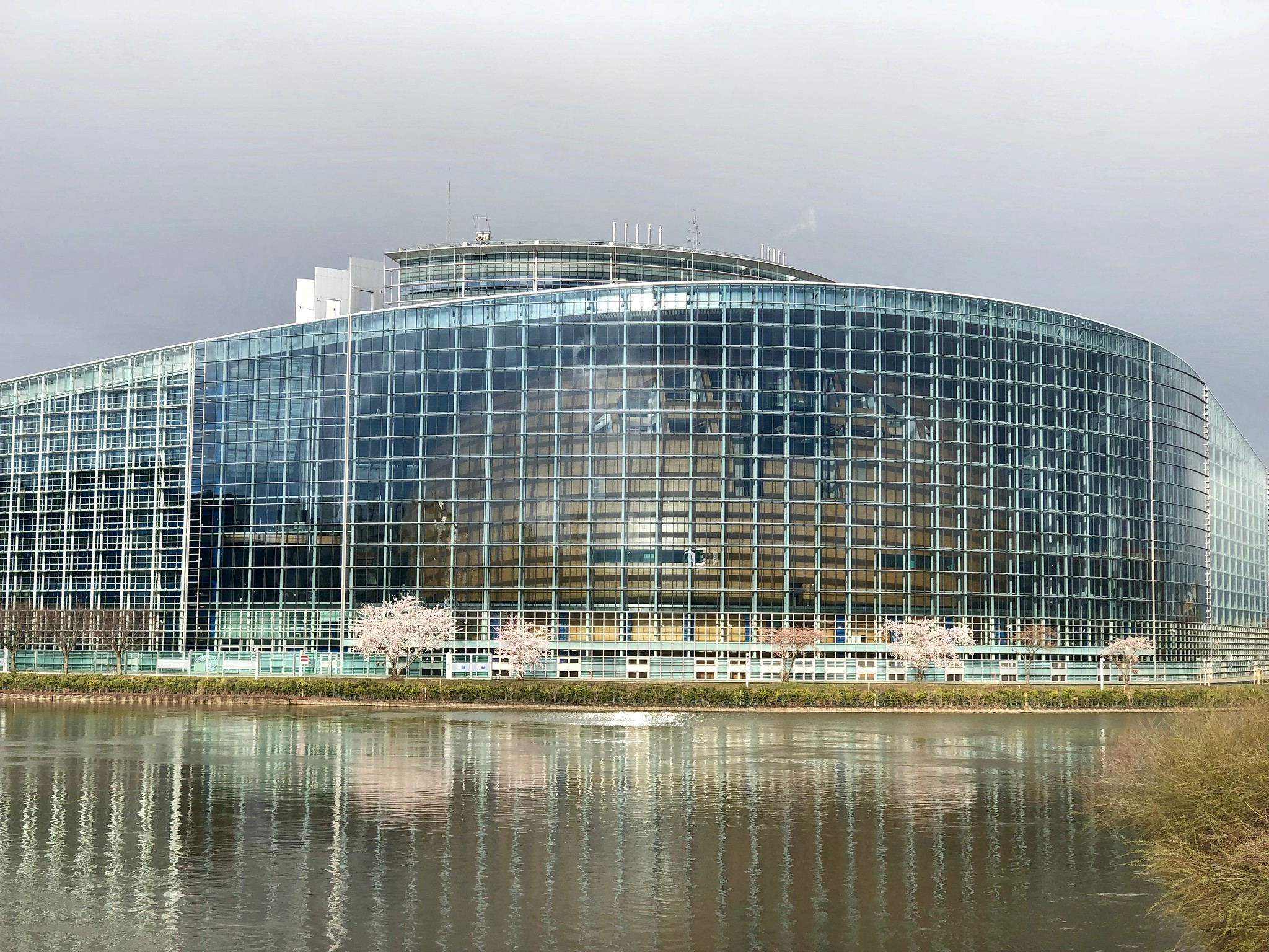 Akt o sztucznej inteligencji. Już dziś głosowanie w Parlamencie Europejskim