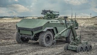 PIAP Hunter, fex, wojsko polskie, arex