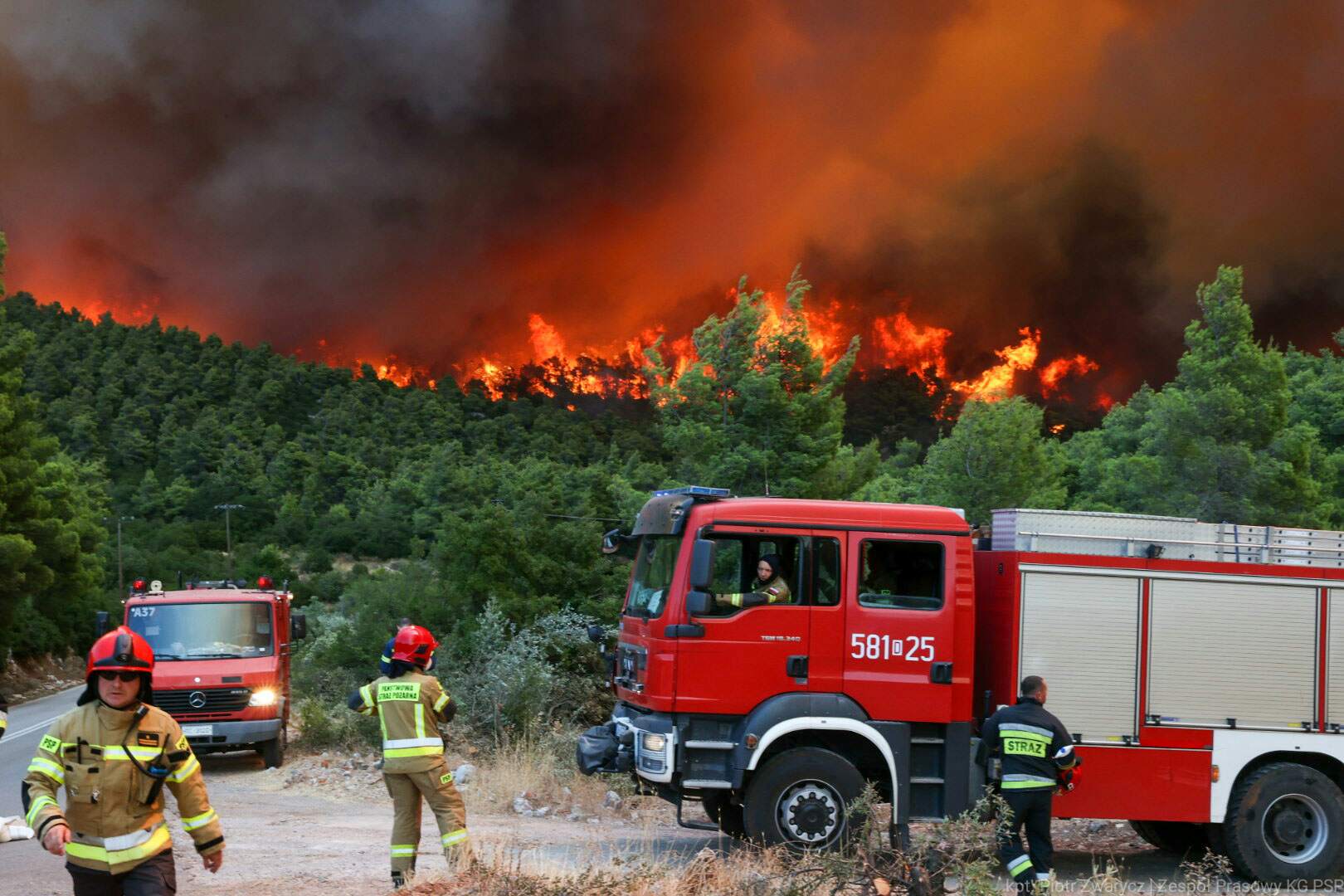 Płoną lasy w Grecji. Pomogą polscy strażacy