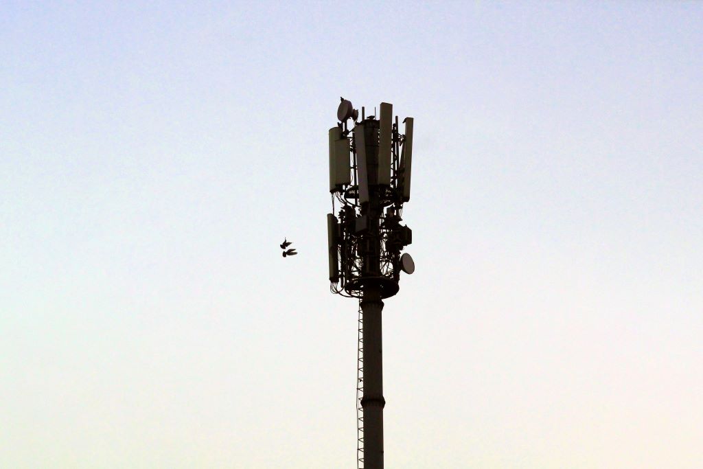 II etap aukcji 5G. Cztery firmy zakwalifikowane na częstotliwości z pasma 3,6 GHz