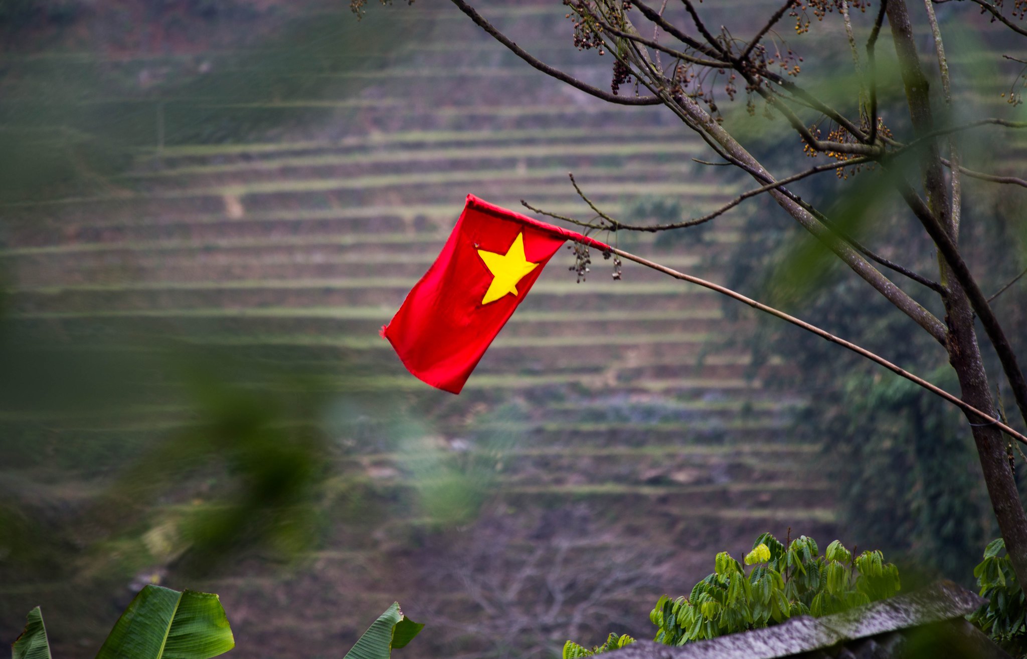 Zakaz korzystania z internetu za krytykę władzy w Wietnamie?