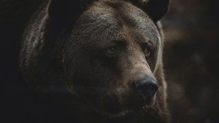 Rosyjscy przestępcy atakują polskie systemy atakami typu DDoS