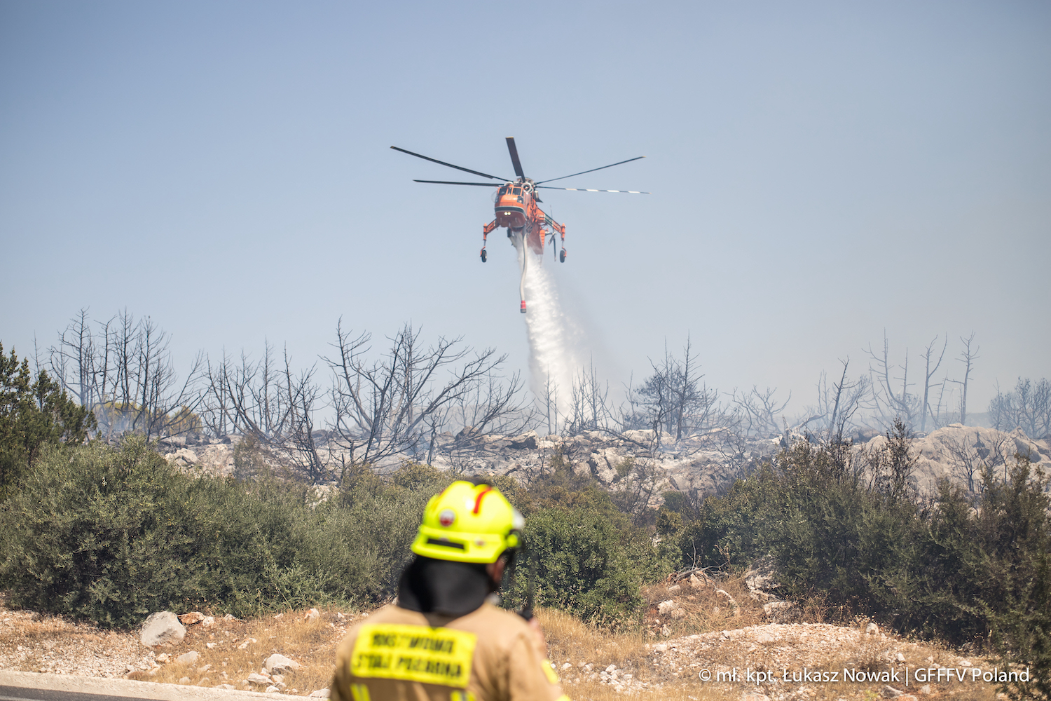 Pożary lasów w Grecji największe w historii UE