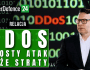 Czym są ataki DDoS? Jakie straty przynoszą i jak się przed nimi chronić?