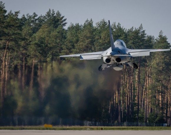 M-346 Bielik, DOL