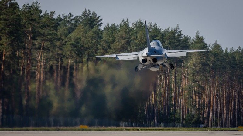 M-346 Bielik, DOL