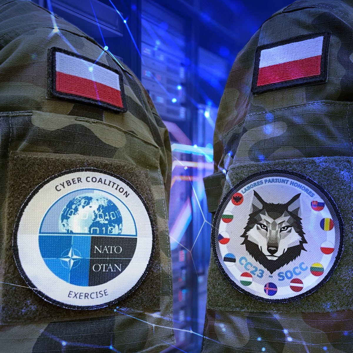 Ćwiczenie NATO. Polska obok USA i Wielkiej Brytanii