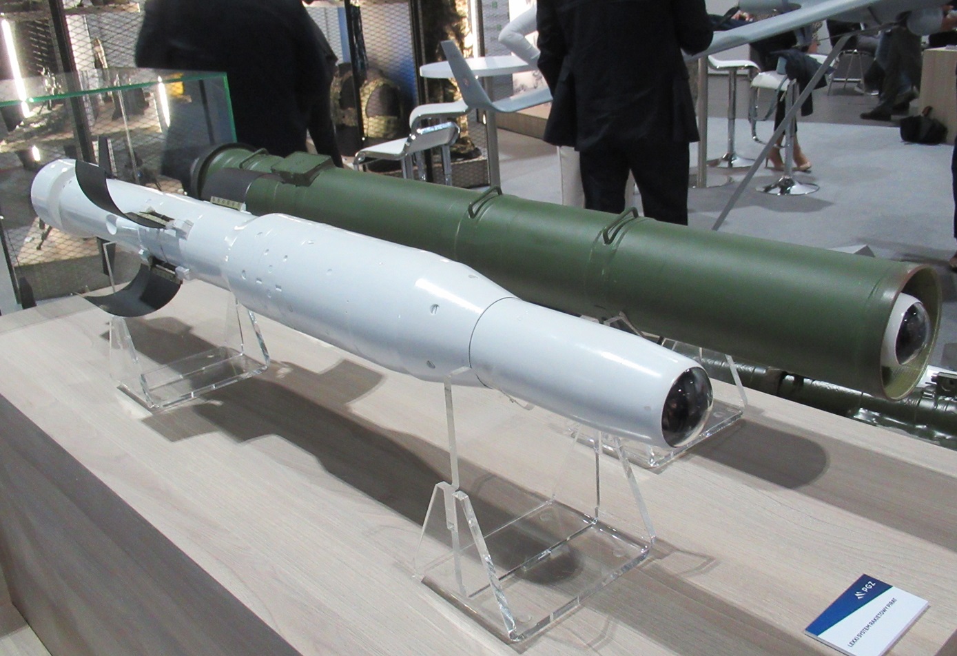 Dlaczego MON nie chce polskiego Pirata? [KOMENTARZ]