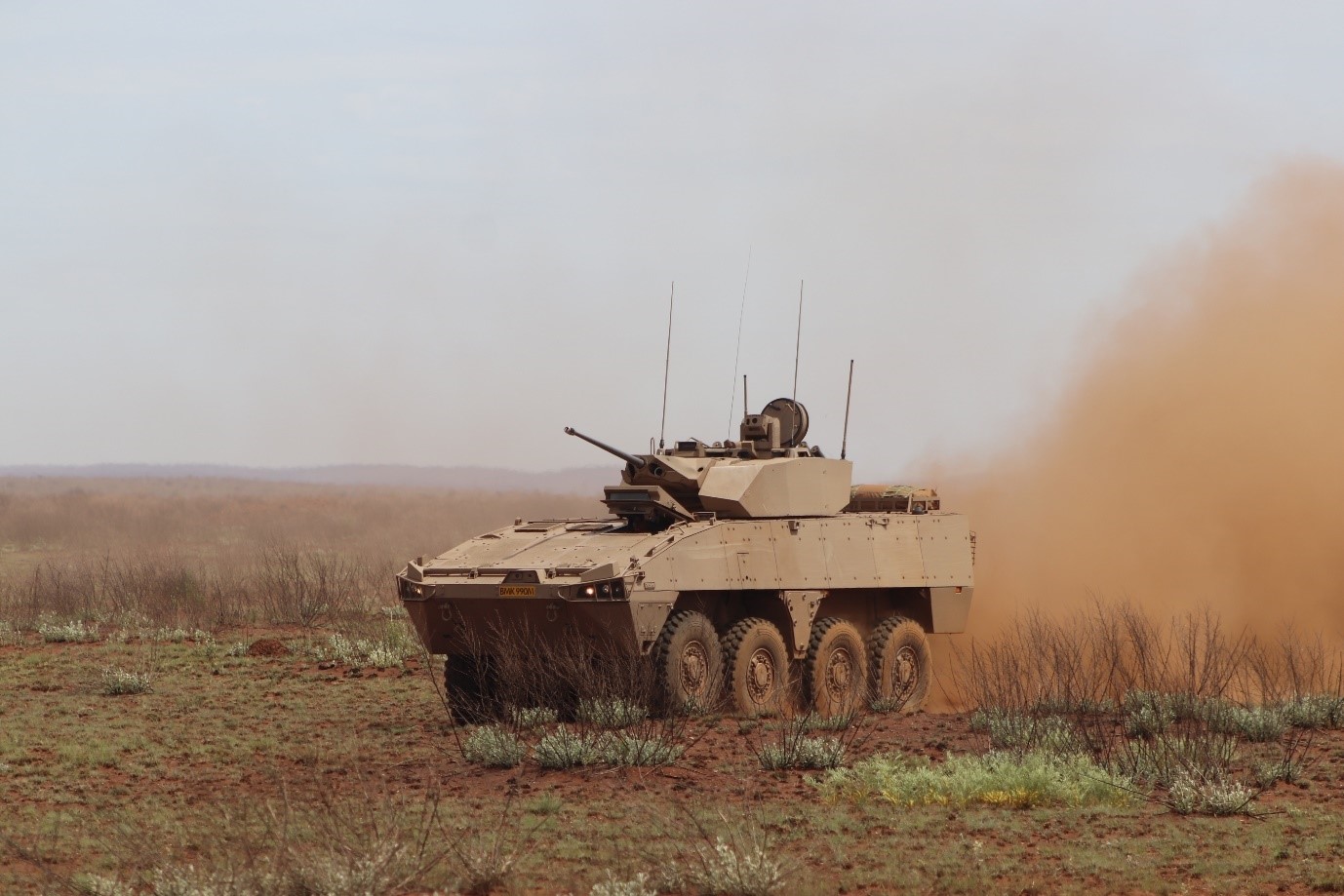 Южноафриканский барсук на военных учениях