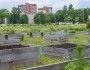 Rośliny hodowane na podniesionych, drewnianych grządkach. W tle bloki mieszkalne i zaparkowane samochody/