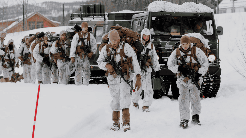 Żołnierze norwescy
