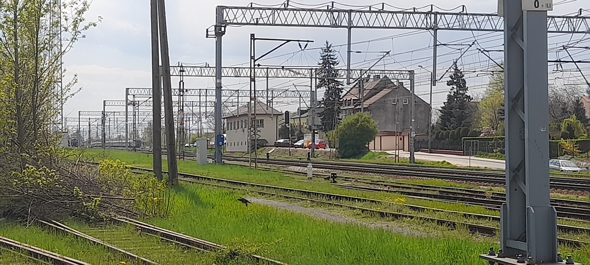 #CyberMagazyn: Cyberbezpieczeństwo na polskiej kolei