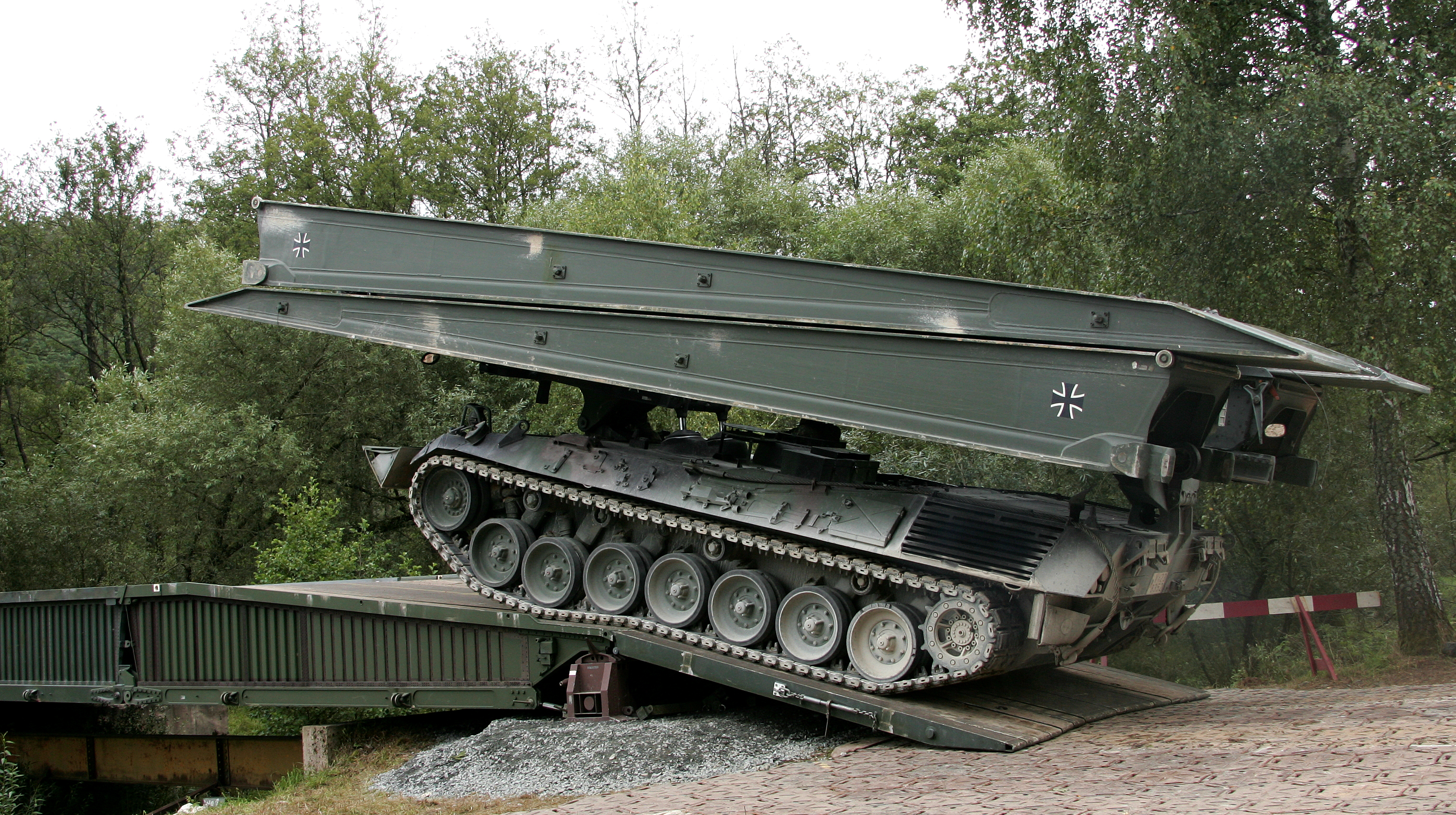 German Beaver on the Ukrainian steppe