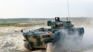 Bojowy wóz piechoty Borsuk na poligonie.