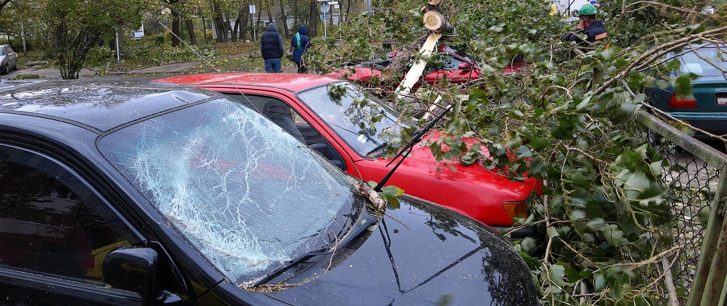 Procedury alarmowania do przeglądu. W tle tragiczne zdarzenia po poniedziałkowych wichurach