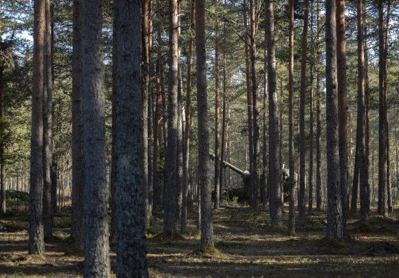 Należąca do Batalionu Artylerii Sił Obronnych Estonii armatohaubica samobieżna K9EST Kõu na ćwiczeniach.